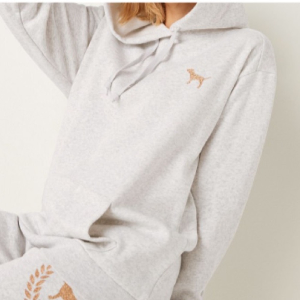 New! Pink Campus Pullover